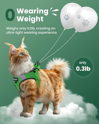Cat Harness and Leash Set (Neon Green / L(Chest 12-14"))