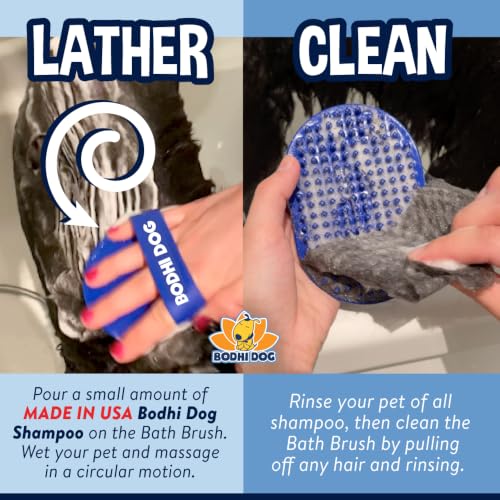 Shampoo Brush (2 Pack / Blue)