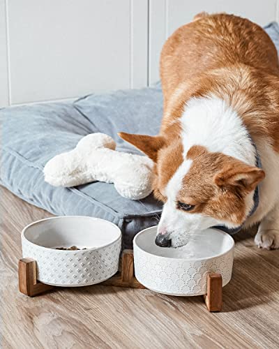 Dog Bowls Ceramic for Small Medium Dogs (Fireworks+Clover / M-4 Cup)