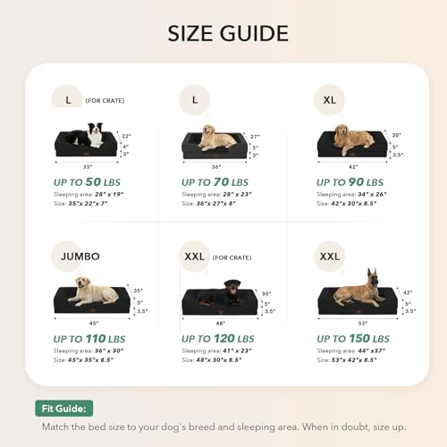 Orthopedic Washable Dog Bed for Large Dogs (Black / 36.0"L x 27.0"W x 8.0"Th)