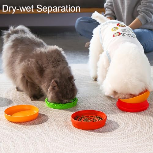 Multiple Use Pet Feeding Set