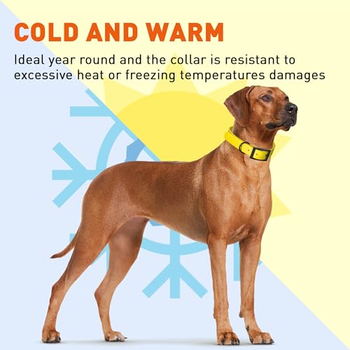 Biothane Waterproof Dog Collar Strong Coated Nylon Webbing with Black Hardware Odor (W1" x L18-22" / Lemon Yellow)