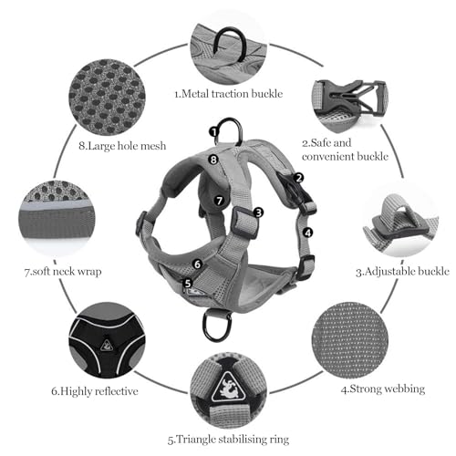 cat Chest Harness and Leash (grey / S:3.3-6.6lb)