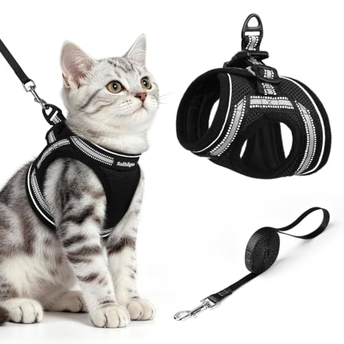 Cat Harness and Leash Set (M / Black)