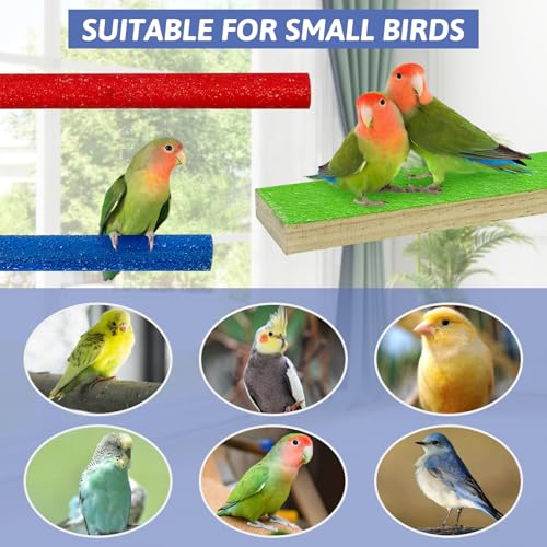 5 PCS Bird Perch Stand