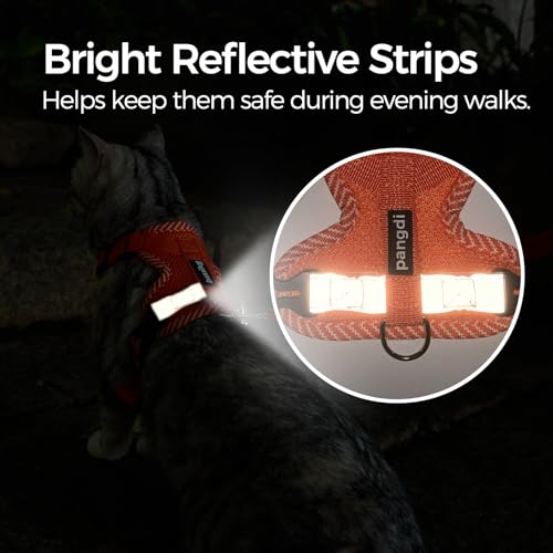 Cat Harness and Leash Set (Orange / Large)