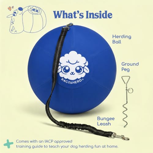 22" Herding Ball for Dogs Tetherball Set Outside (Ocean - 22" Tether Ball / Tether)