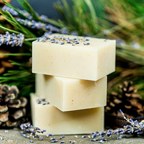 Certified Organic Dog Shampoo and Conditioner