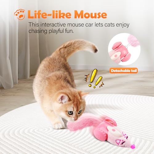 Automatic Cat Toys (Modern)