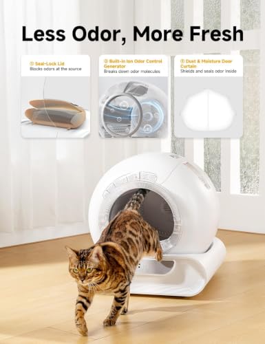 Self Cleaning Litter Box