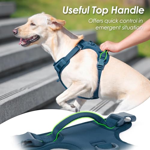 No Pull Dog Harness for Medium Sized Dogs Puppy Vest No Choke (Prussian Blue / M(Neck:18.5-25.6", Chest:20.9-30.7"))