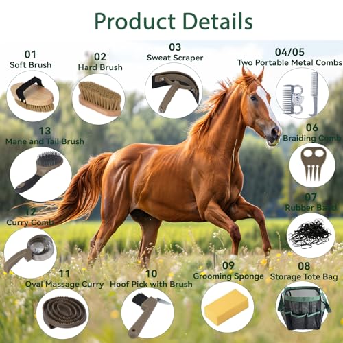 Horse Grooming Kit 13 Piece (Brown Green)
