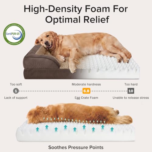 XXL Plus Orthopedic Dog Beds Large Sized (Dark Brown / XXL- PLUS (53"x 42"x 8"))