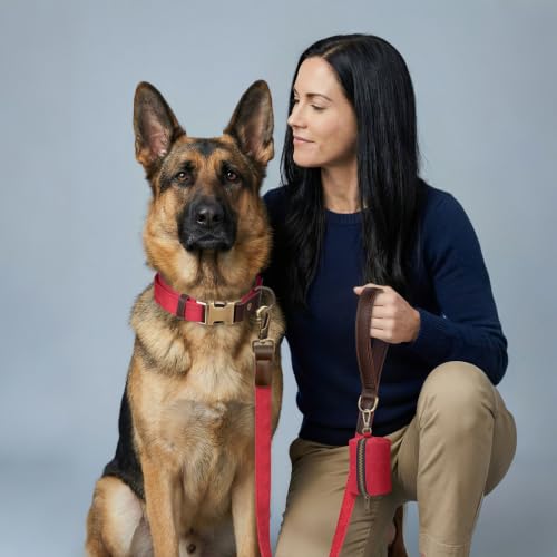 PU Leather Dog Collar for Large Dogs (Red / XL: Neck 20-27", Width 1¼")
