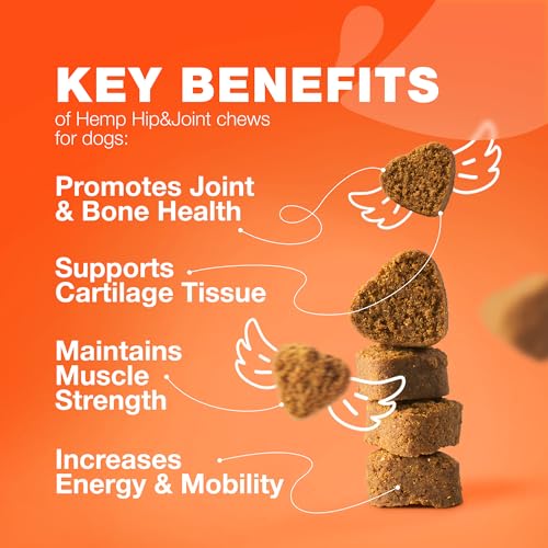 Hip & Joint Chews for Dogs (180 count / Hip & Joint Chews)