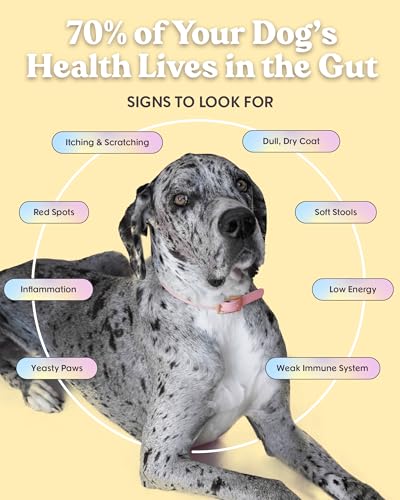 Chicken Probiotic Dry Dog Food (12 Pound)