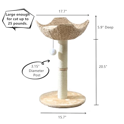 Small Cat Tree Tower with Large 17.7" Rattan Wicker Basket (1~basket)