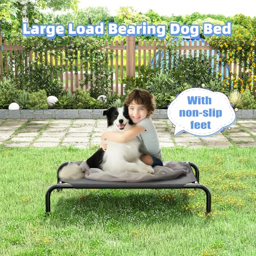 Raised Dog Bed for Small Dogs (36.5"L x 22.5"W x 8.25"Th / Black)