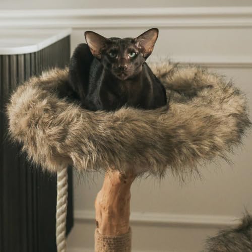 Mau Modern Wood Cat Tree Tower (Brown)