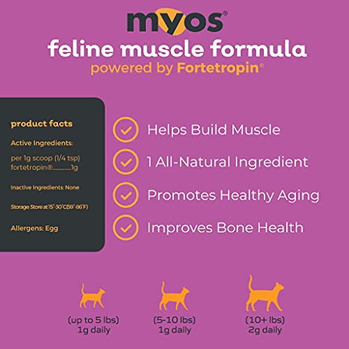 Cat Nutritional Supplement