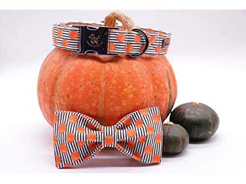 Halloween Dog Collar (Pumpkin / Medium (Pack of 1))