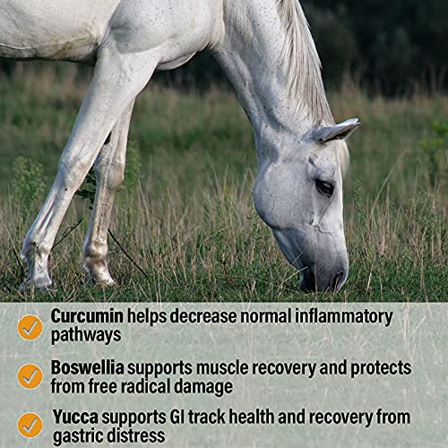 Bute Less Performance Advanced Formula Horse Supplement Pellets