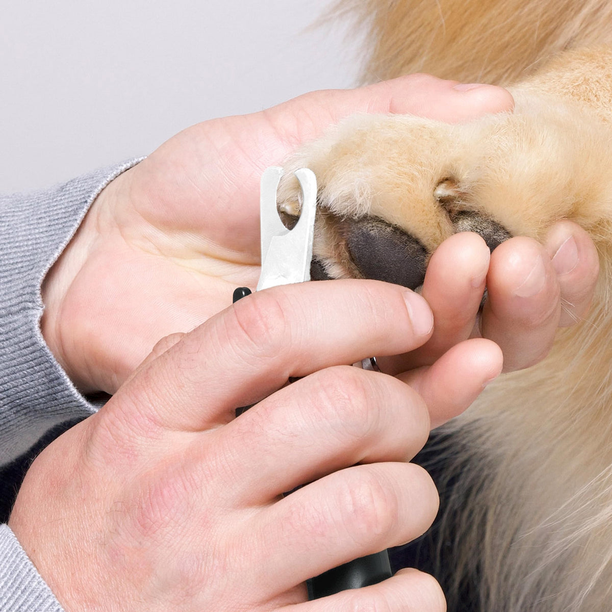 Large Nail Clippers for Pets (Large)