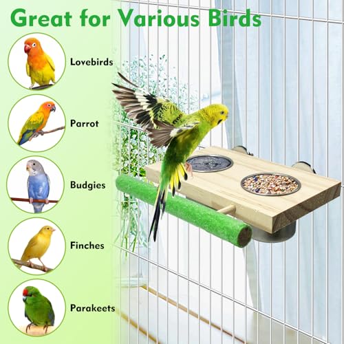 Bird Feeding Dish Cups with Wooden Platform (Medium)