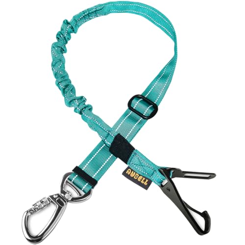 Dog Seat Belt for Car (Teal)