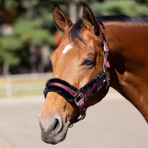 Valkyrie Ultra Fleece Padded Leather Fuse Breakaway Horse Halter (Wine Red/Black / Horse)