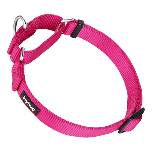 Martingale Dog Collars for Medium Dogs (Medium / Rose Red)
