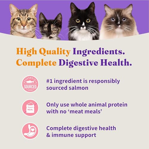 Holistic Dry Cat Food