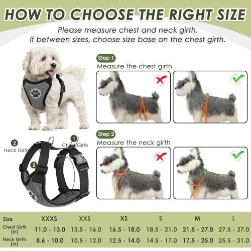Dog Seat Belt and Harness for Car (Grey / X-Small)
