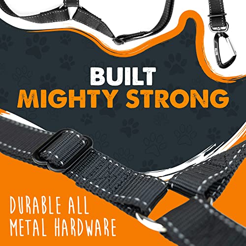 Dog Seat Belt for Car Headrest (Headrest Attachment)