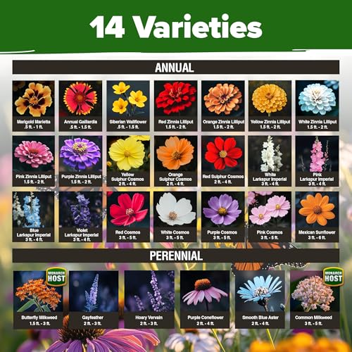 Monarch Butterfly Wildflower Mix Seeds