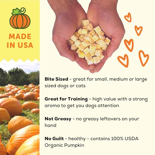 Freeze Dried Organic Pumpkin Dog and Cat Treats (1 Ounce (Pack of 3))