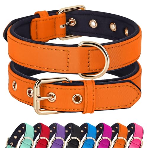 Soft Padded Dog Collars for Small Dogs (Orange / M: Fit 11-15" Neck)