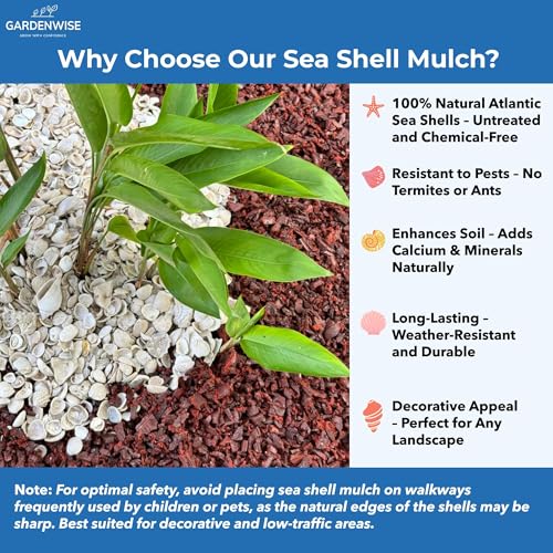 Natural Organic Sea Shell Mulch for Gardens and Landscaping (0.2 CF - 4.8 L - 5 QTS / Sea Shell Mulch)
