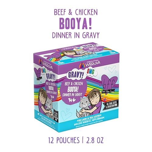 B.F.F. OMG Best Feline Friend Oh My Gravy! (2.8 Ounce (Pack of 12))