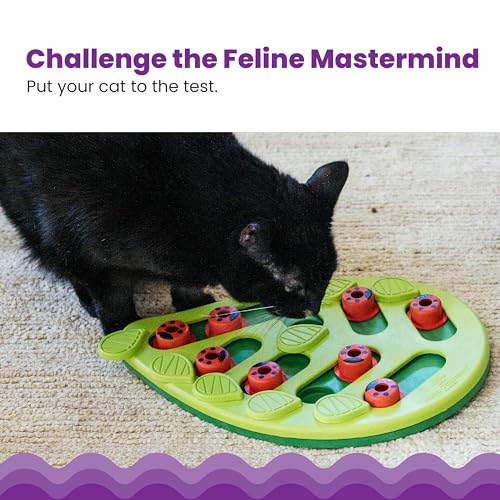 Nina Ottosson Buggin’ Out Puzzle & Play Cat Toy Treat Puzzle (Green / Treat Puzzle)
