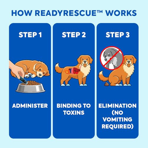 Activated Charcoal for Dogs and Cats Clinically Studied 2Pack (2 Vials (31-60 lbs))