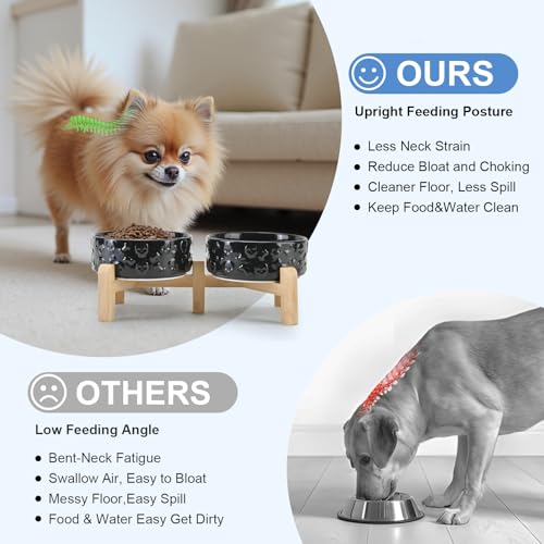 Elevated Dog Bowls Ceramic (5.1 in - 1.7 cups / Black- Skull)
