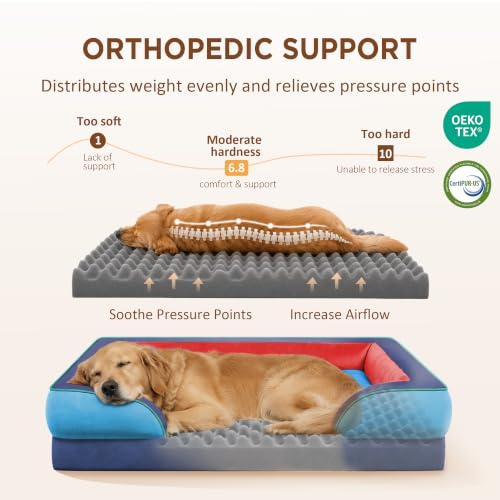 Orthopedic Dog Bed for Extra Large Dogs with Bolster (42.0"L x 30.0"W x 8.5"Th / Philadelphia)