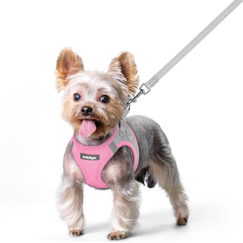 Dog Harness Small Sized and Leash Set (Light Pink & Gray / Xs (chest: 13.3 - 15.5"))