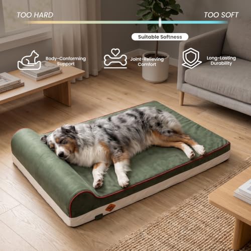 Orthopedic Dog Bed (34.0"L x 22.0"W x 5.5"Th / Dark Green)