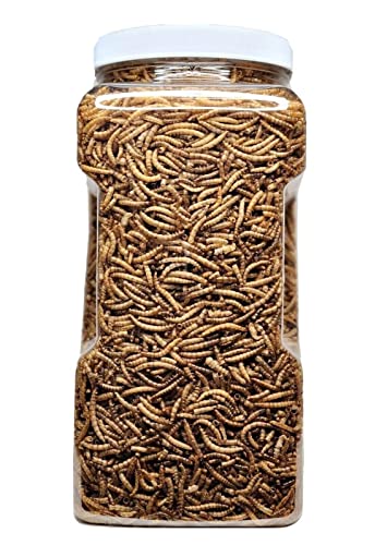 Mealworms Freeze Dried Mealworms for Tropical Fish (10 Ounce (Pack of 1))