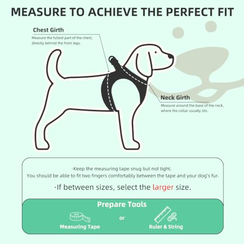 Dog Harness Collar and Leash Set No Pull for Small Medium Sized (Solid Green / S (CHEST 14.5"-16"))