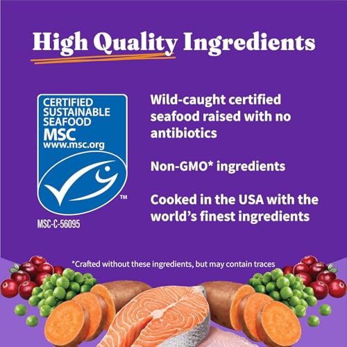 Holistic Indoor Dry Cat Food
