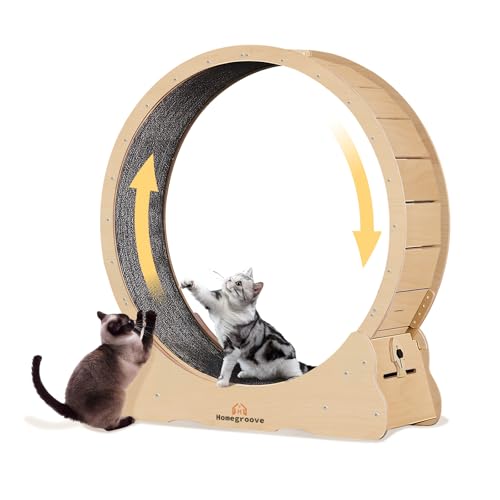 Cat Exercise Wheel for Indoor Cats (M / Natural Wood)