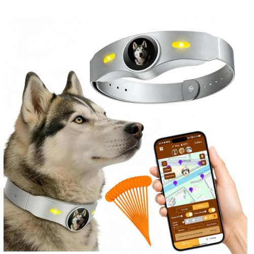 GPS Wireless Dog Fence (Silver)